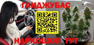 a pvp Лесосибирск