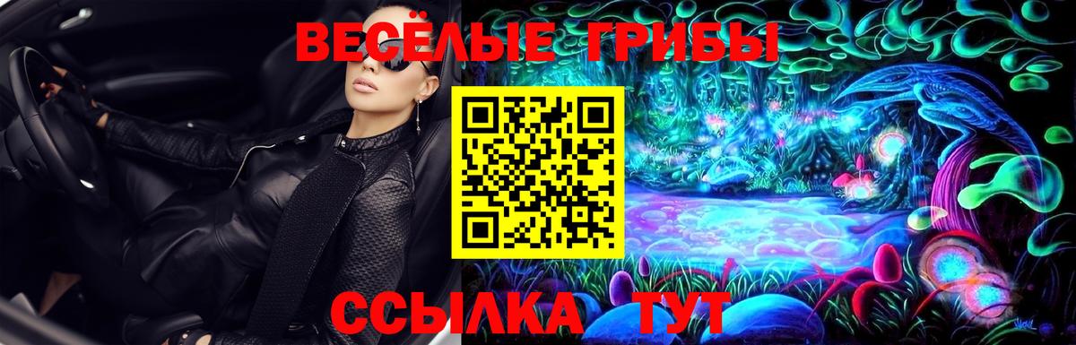 Псилоцибиновые грибы GOLDEN TEACHER Вязьма